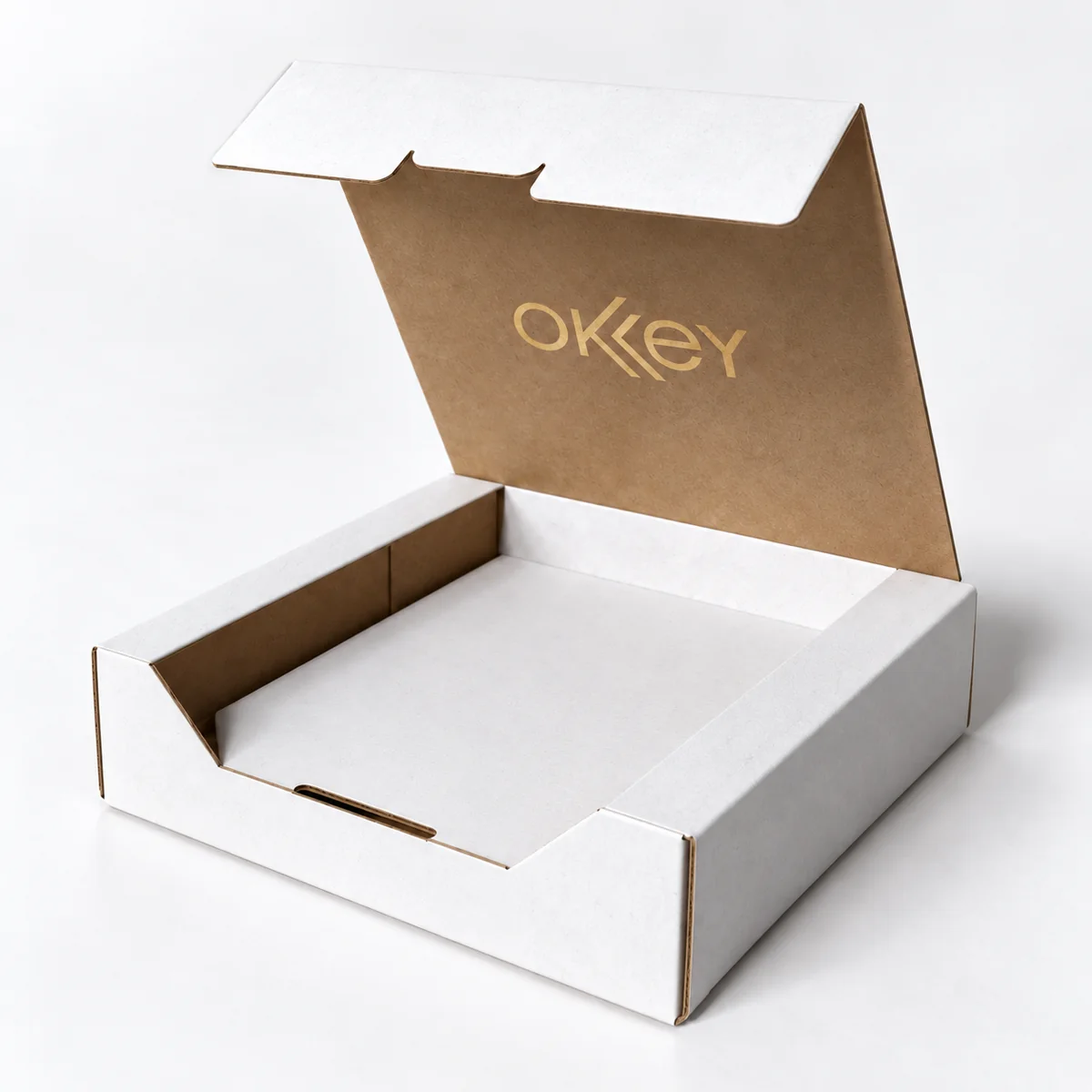 BS-01 Hinged-lid carton — Form concept · AI