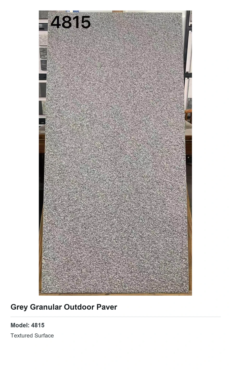 Grey Granular Outdoor Paver